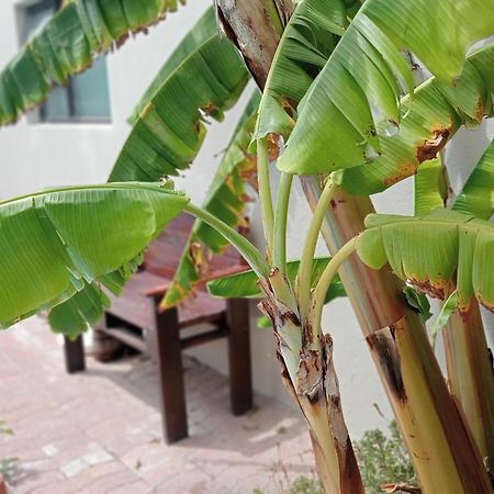 The Pool Cottage Fish Hoek Ngoại thất bức ảnh